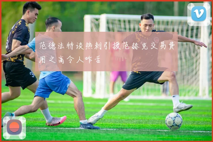 范德法特谈热刺引援范赫克交易费用之高令人咋舌