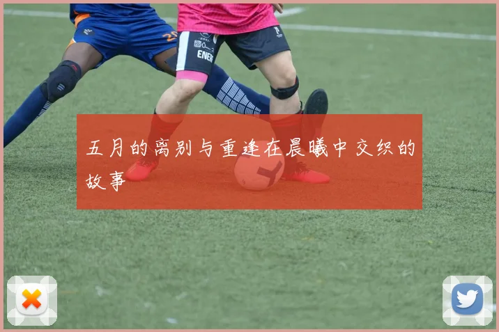 五月的离别与重逢在晨曦中交织的故事