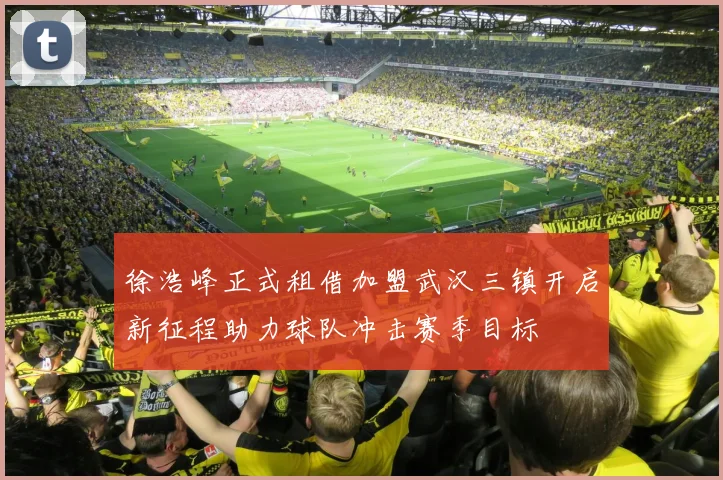 徐浩峰正式租借加盟武汉三镇开启新征程助力球队冲击赛季目标