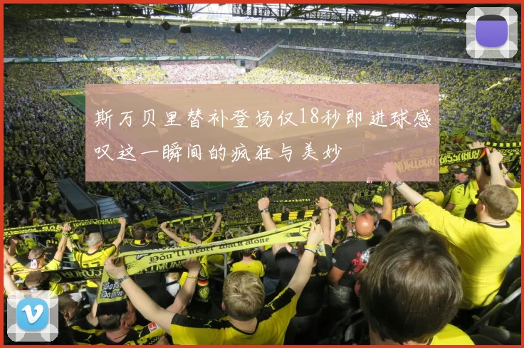 斯万贝里替补登场仅18秒即进球感叹这一瞬间的疯狂与美妙